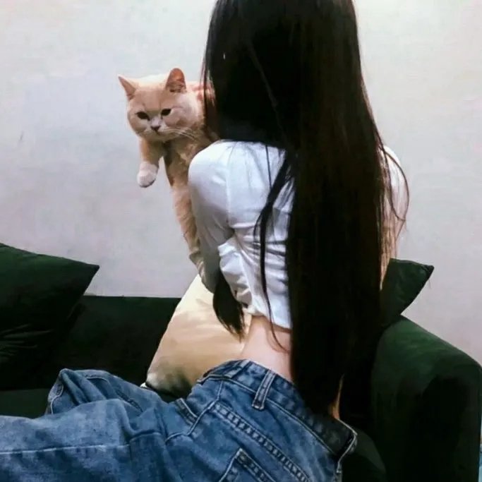 虚情假意